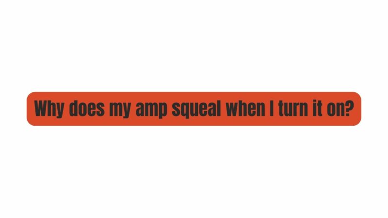 Why does my amp squeal when I turn it on?