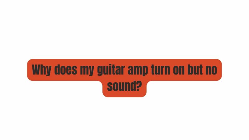 Why does my guitar amp turn on but no sound?