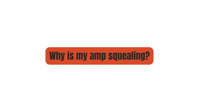 Why is my amp squealing?
