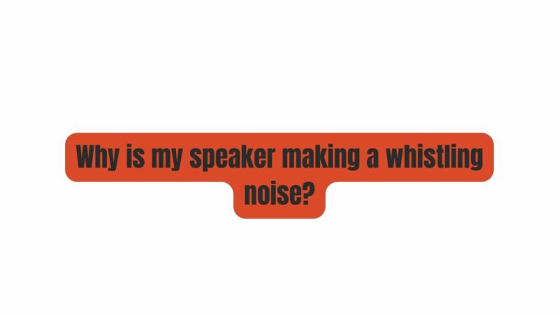 Why is my speaker making a whistling noise?