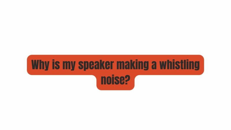 Why is my speaker making a whistling noise?