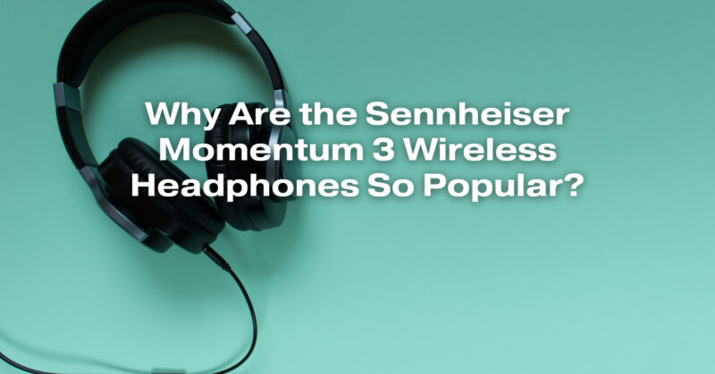 Why Are the Sennheiser Momentum 3 Wireless Headphones So Popular?