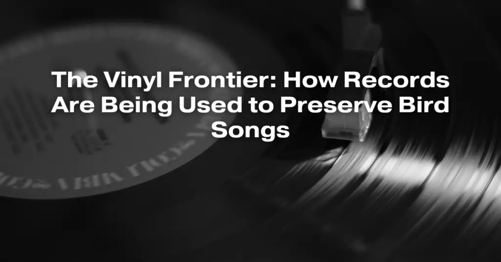 The Vinyl Frontier: How Records Are Being Used to Preserve Bird Songs
