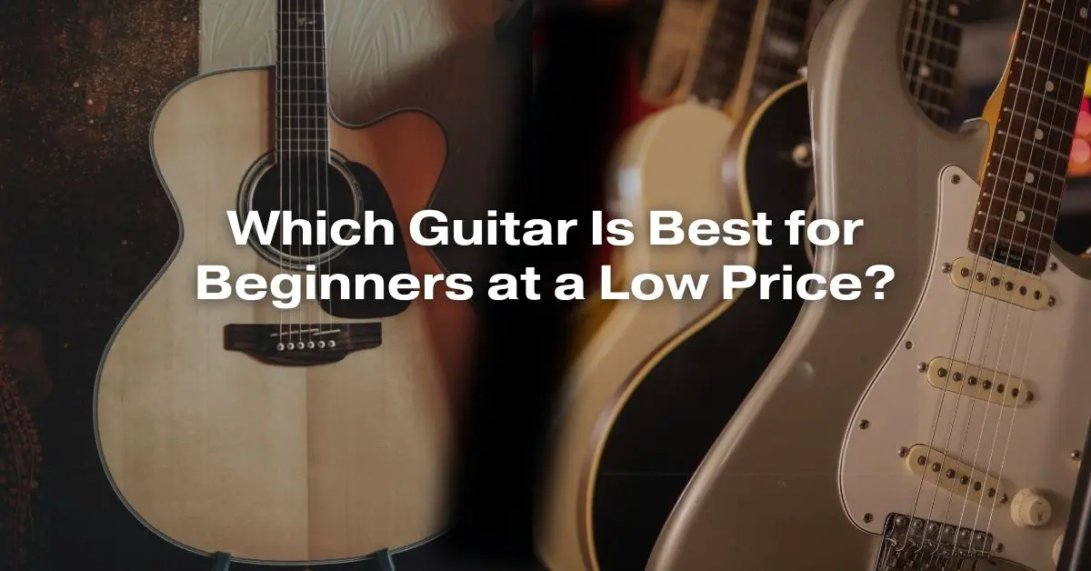 Which Guitar Is Best for Beginners at a Low Price? All For Turntables