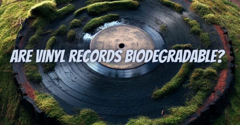 Are vinyl records biodegradable?