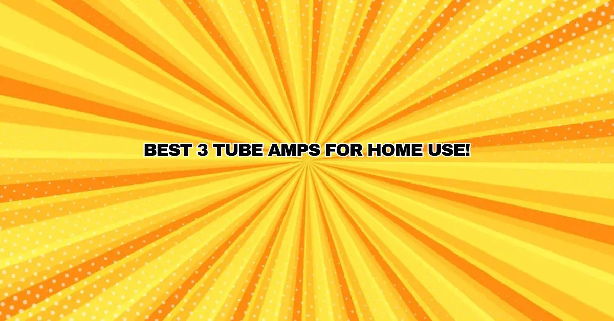 Best 3 Tube Amps for Home Use! All For Turntables