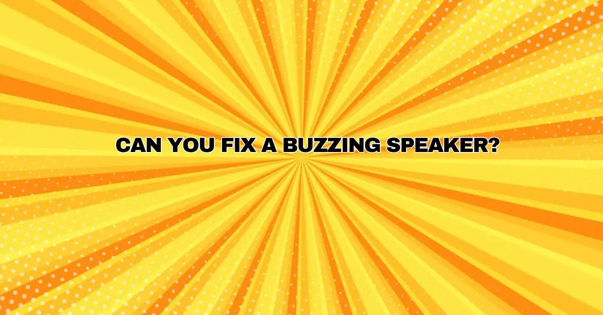 Can you fix a buzzing speaker? All For Turntables