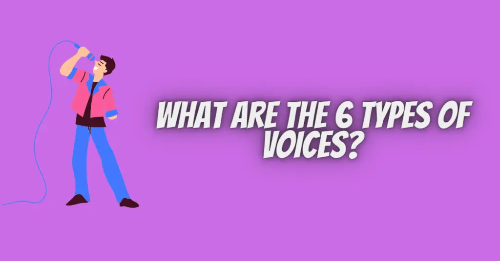 what are the 6 types of voices