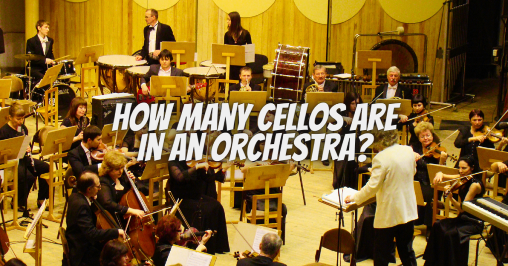 how many cellos are in an orchestra