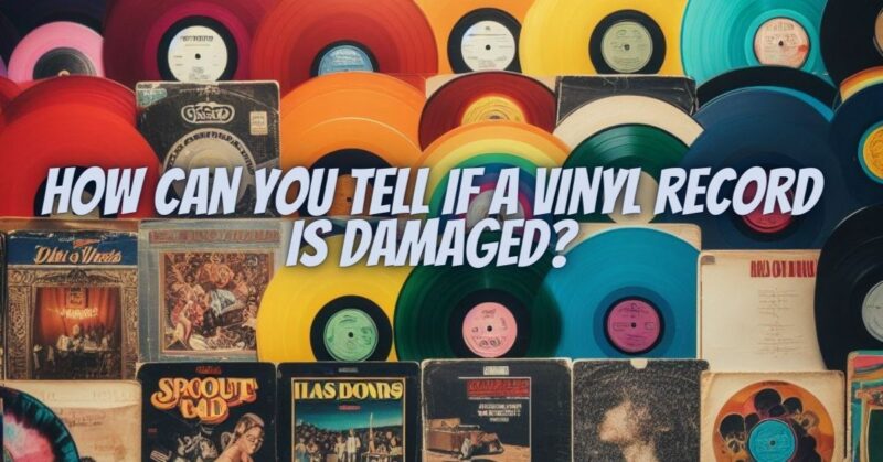 How can you tell if a vinyl record is damaged?