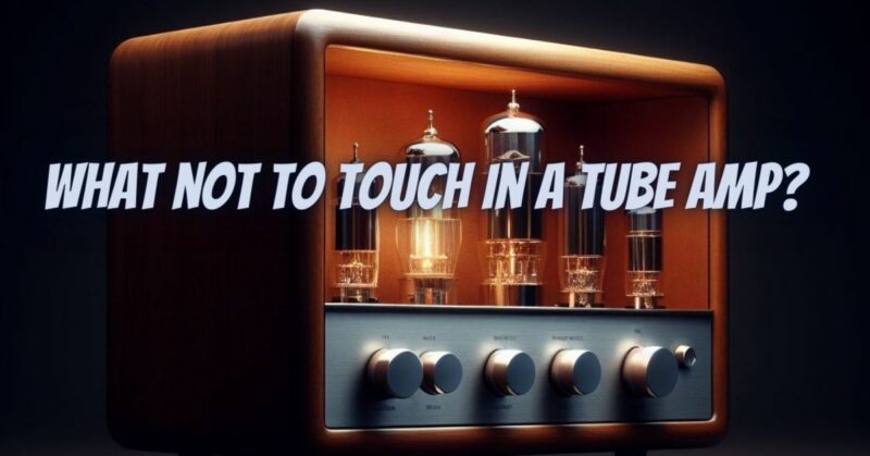 What not to touch in a tube amp?