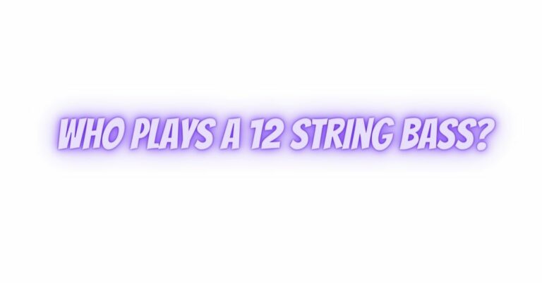 Who plays a 12 string bass? - All For Turntables