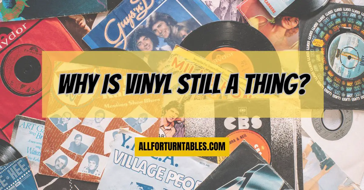 Why is vinyl still a thing? All For Turntables